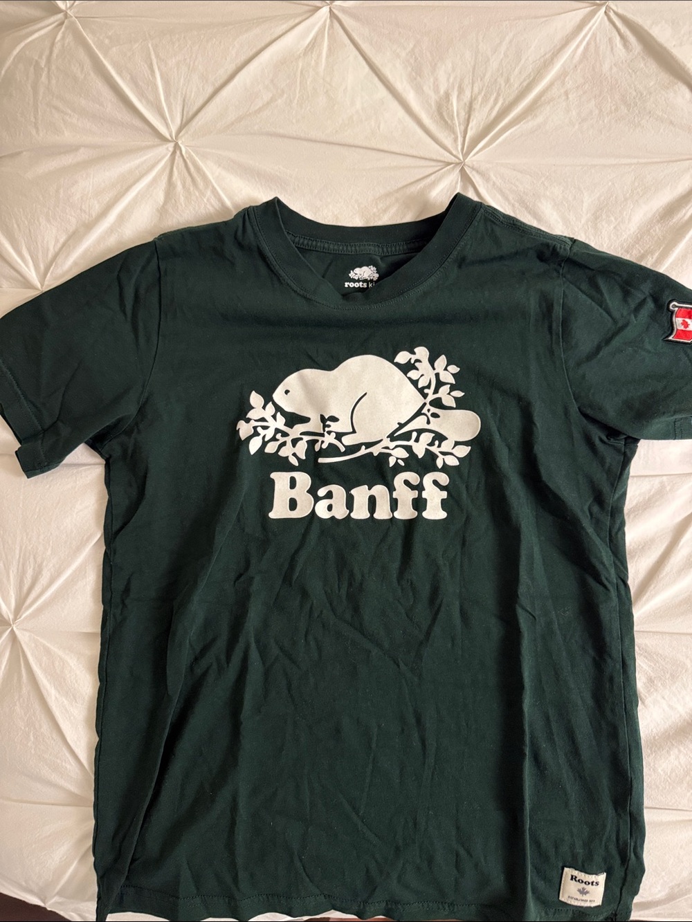Roots Kids Dark Green Banff Beaver Graphic Tee